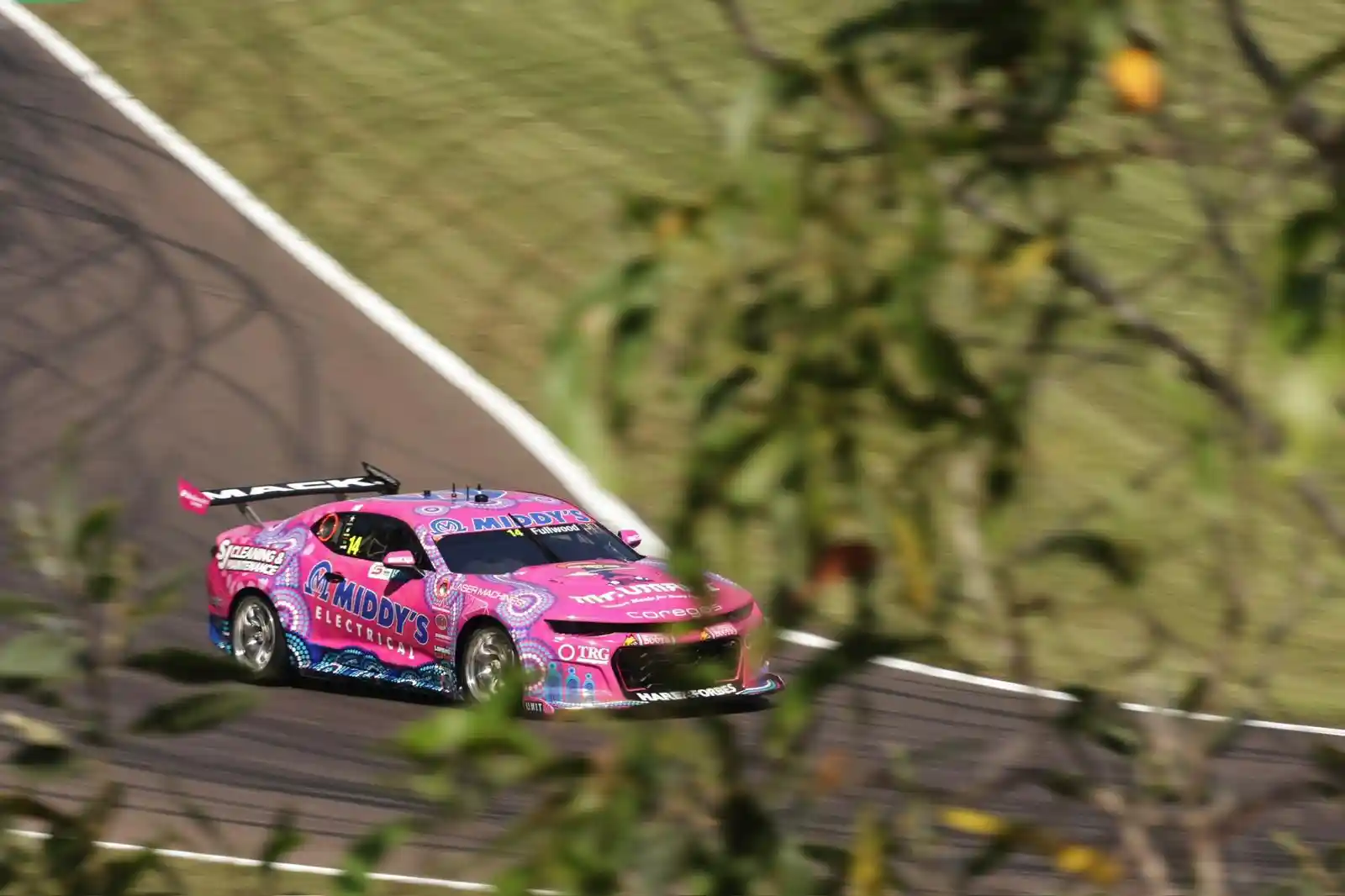 Pink race car with "Middy's Electrical" branding speeds on a track, partially obscured by leaves in the foreground.